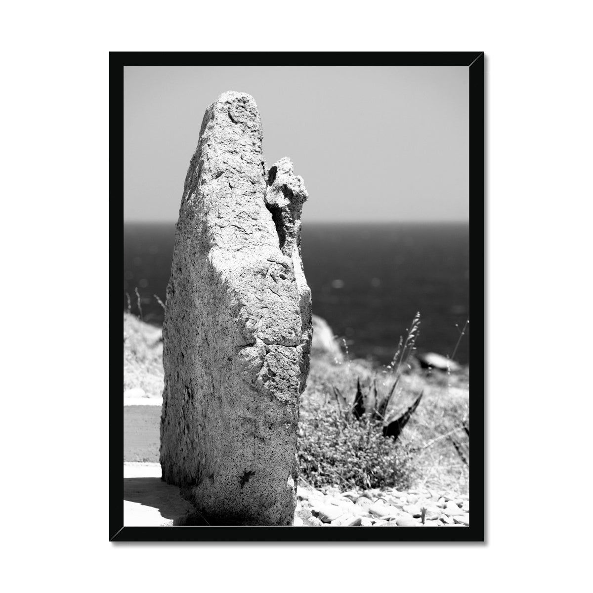 NATURE 12 Framed Print