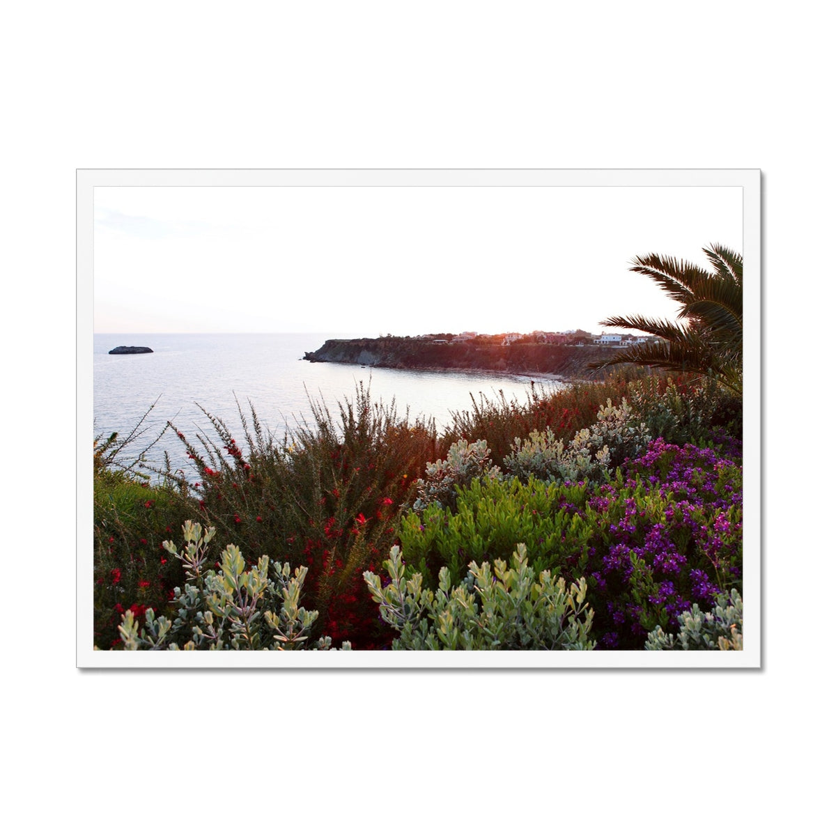 NATURE 15 Framed Print