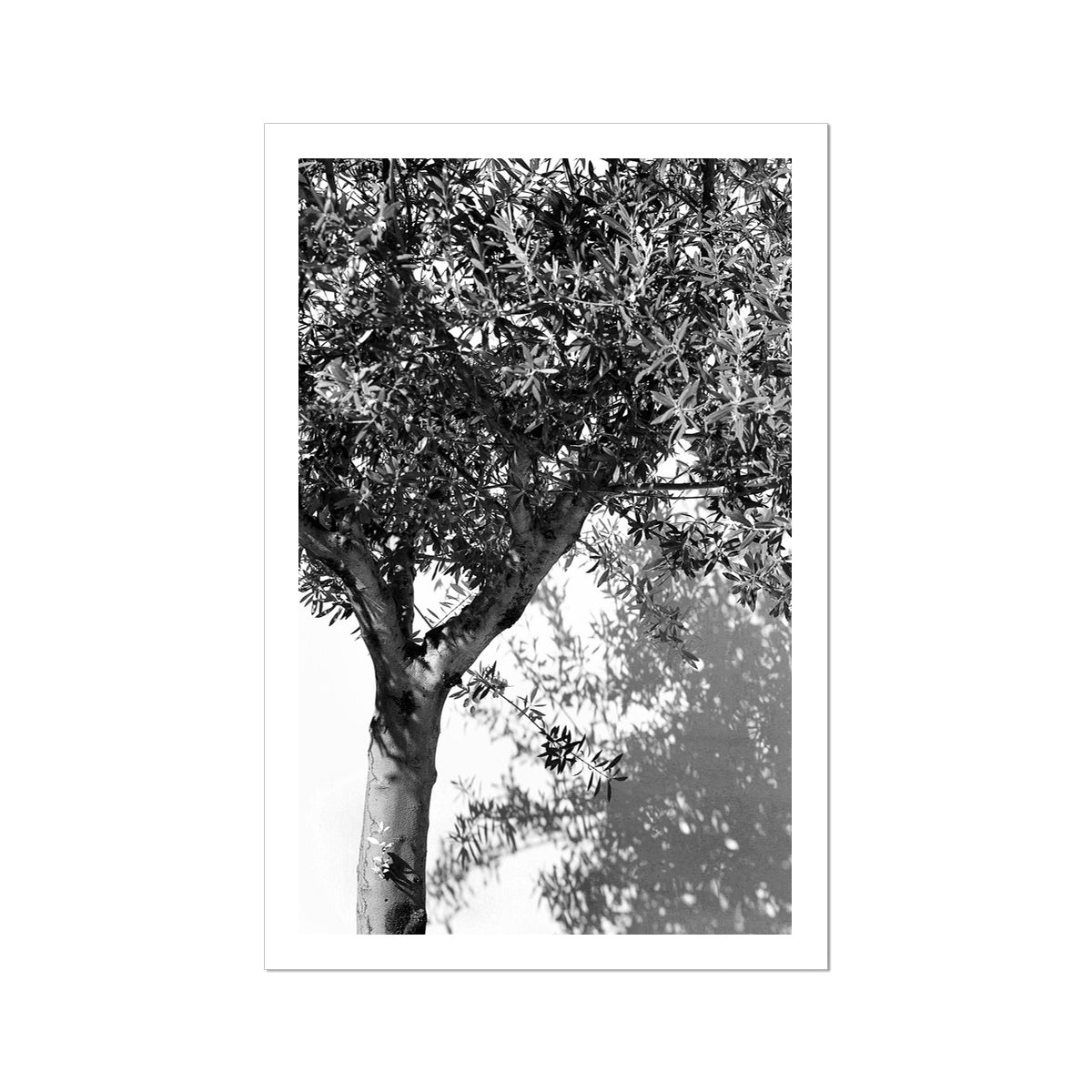 B&W 10 Fine Art Print