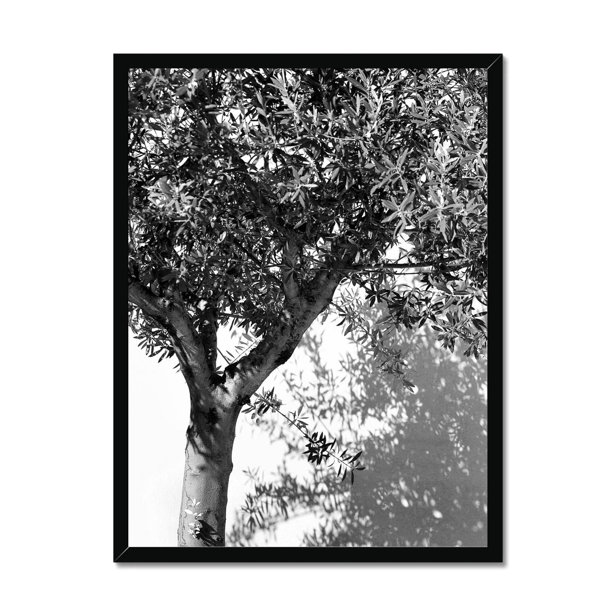 B&W 10 Framed Print