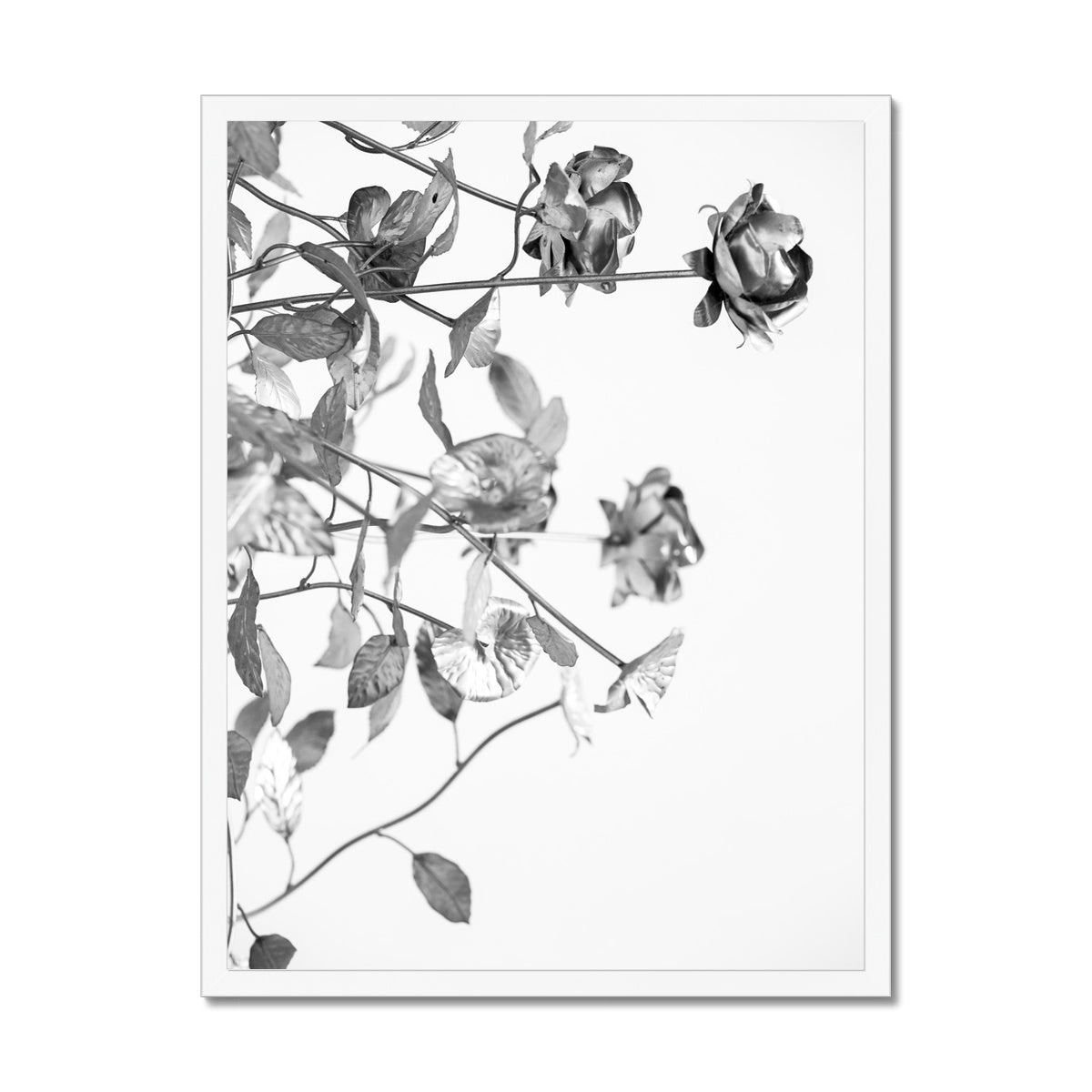 B&W 13 Framed Print