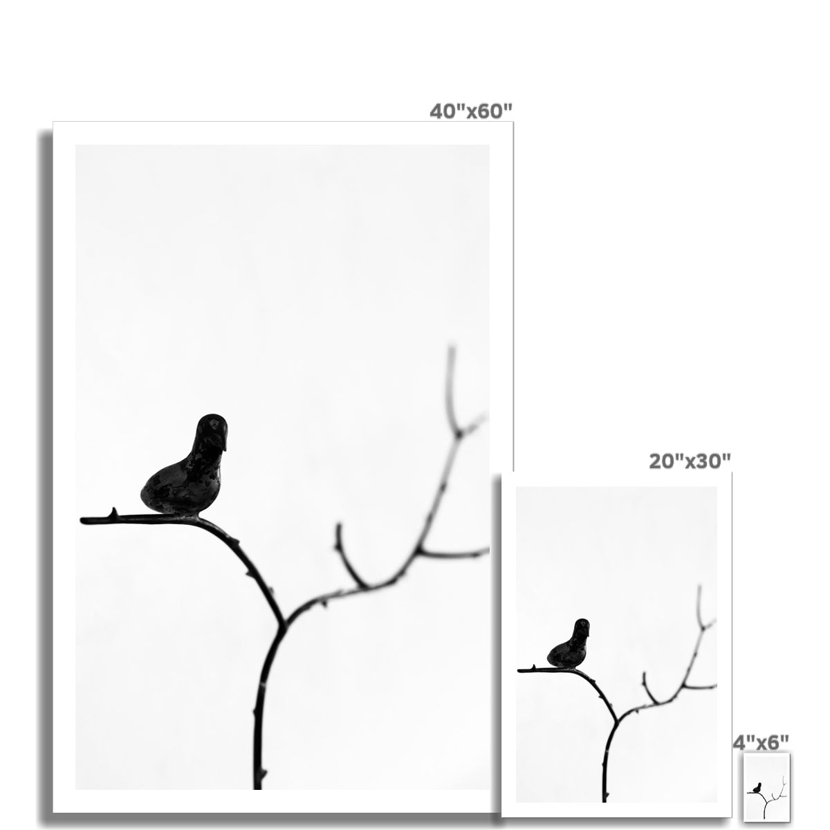 B&W 17 Fine Art Print