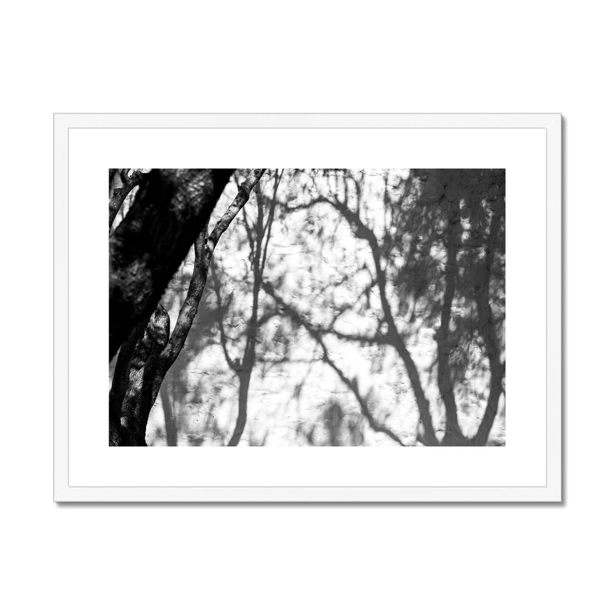 B&W 02 Framed & Mounted Print