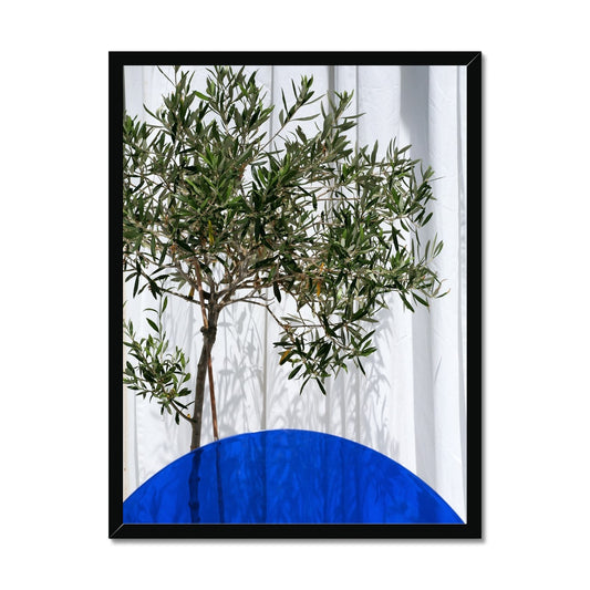 NATURE 04 Framed Print