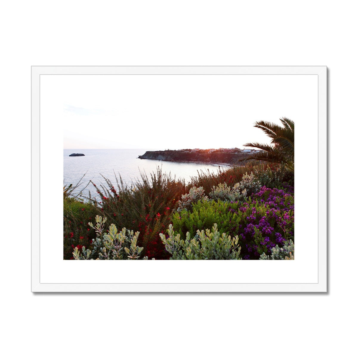 NATURE 15 Framed & Mounted Print