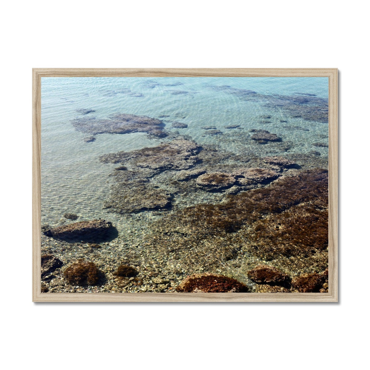 NATURE 06 Framed Print