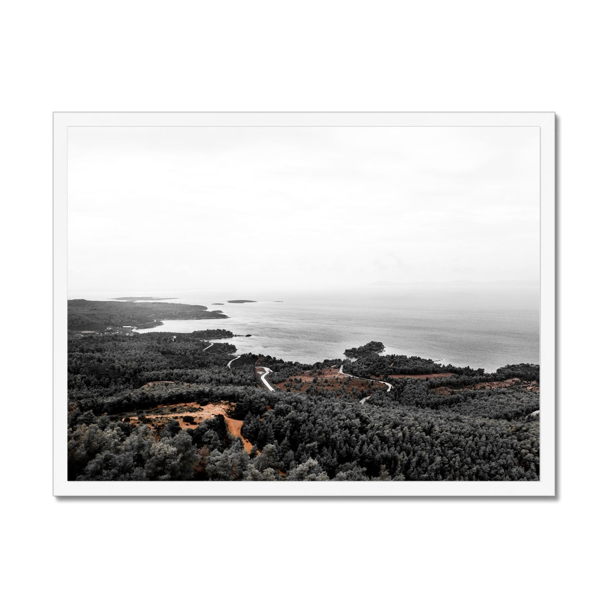 NATURE 21 Framed Print