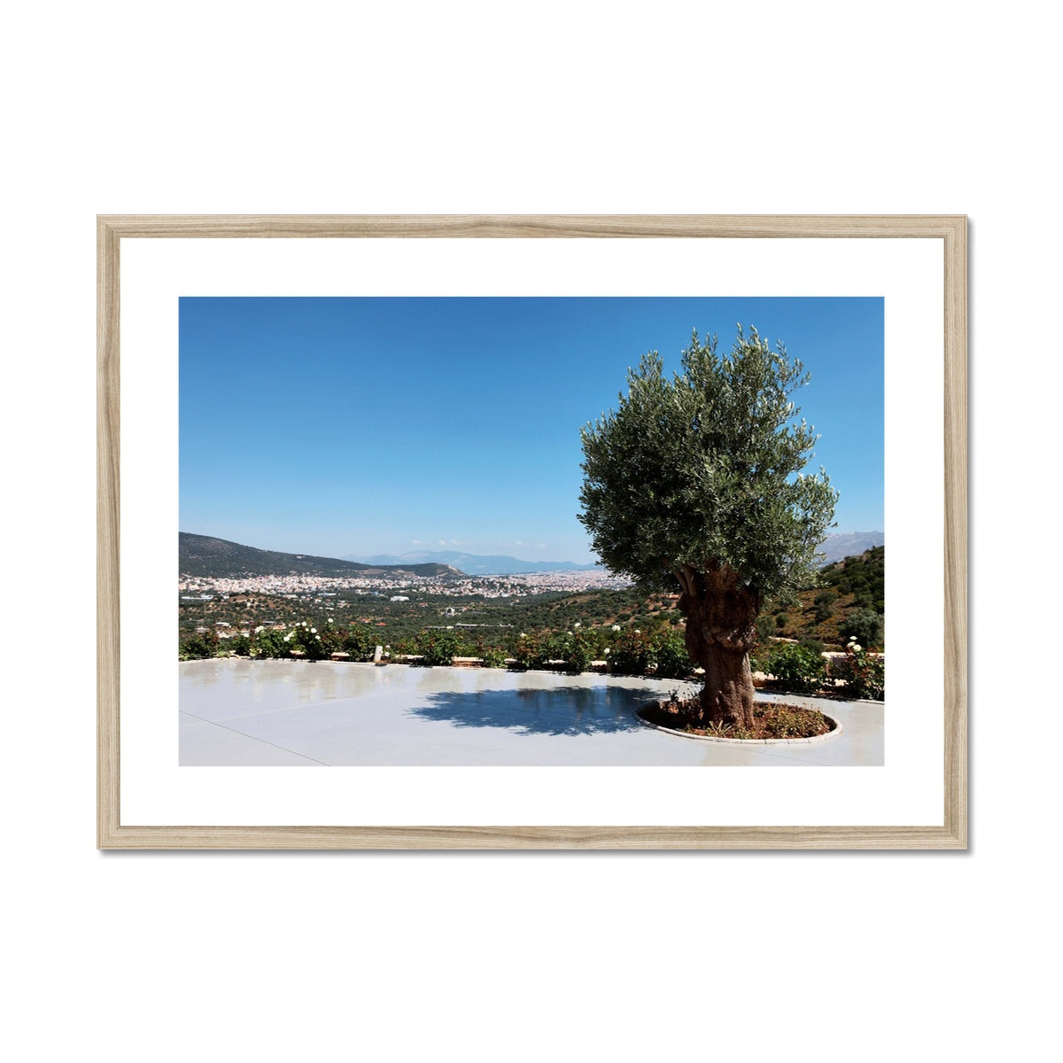 NATURE 13 Framed & Mounted Print