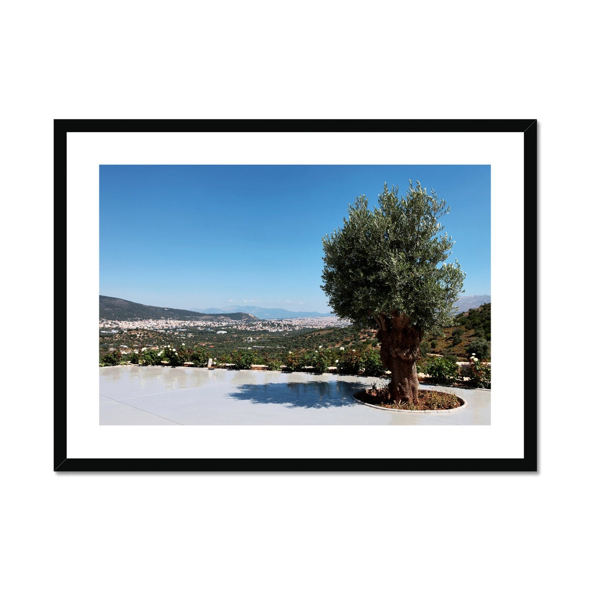 NATURE 13 Framed & Mounted Print