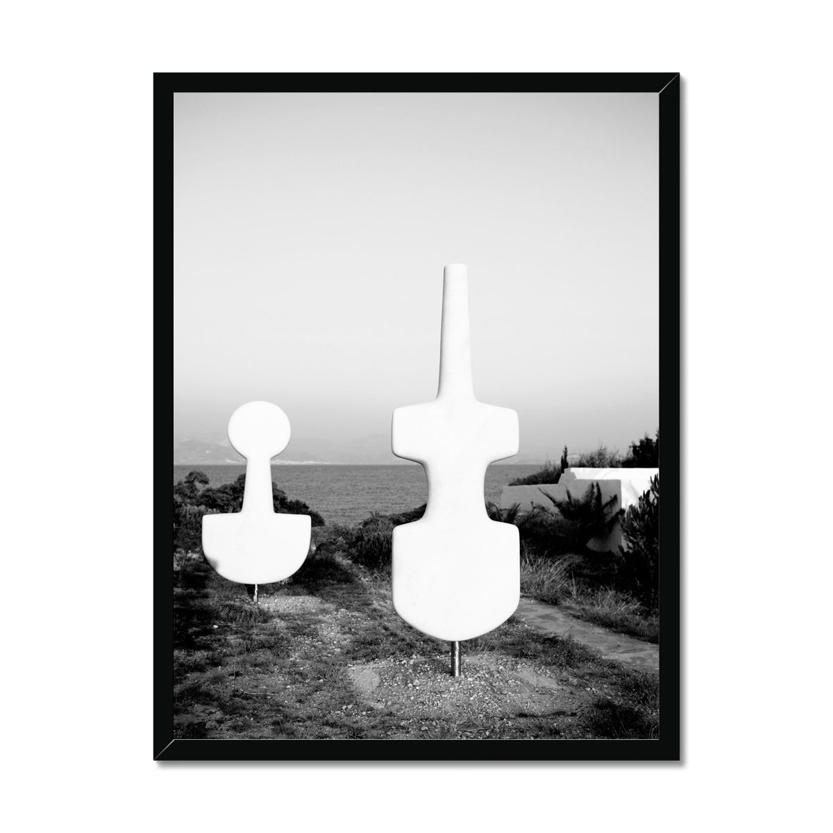 B&W 01 Framed Print