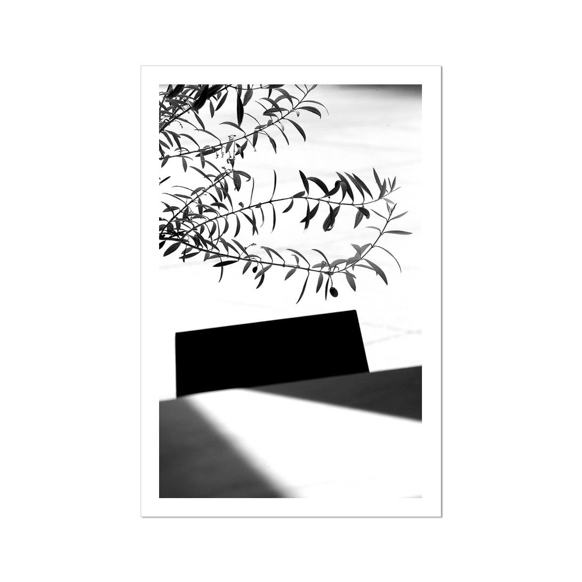 B&W 04 Fine Art Print