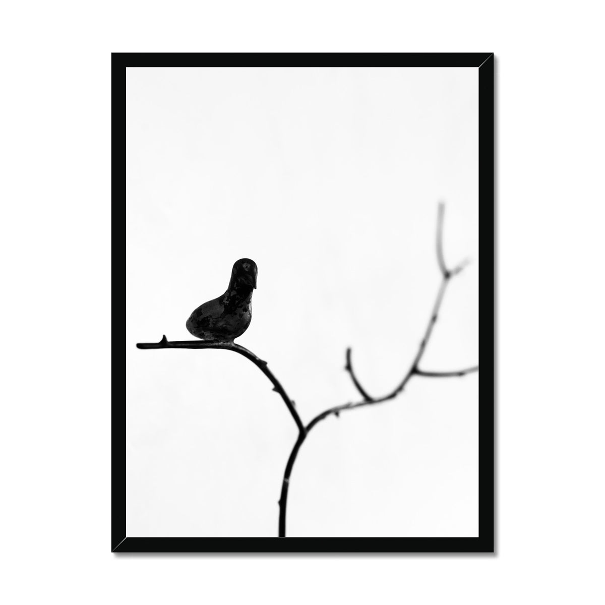 B&W 17 Framed Print