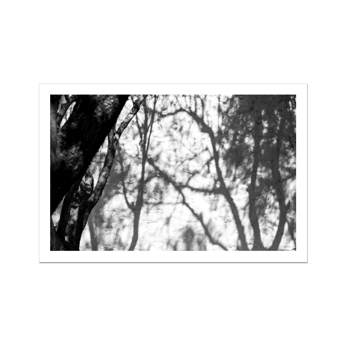 B&W 02 Fine Art Print