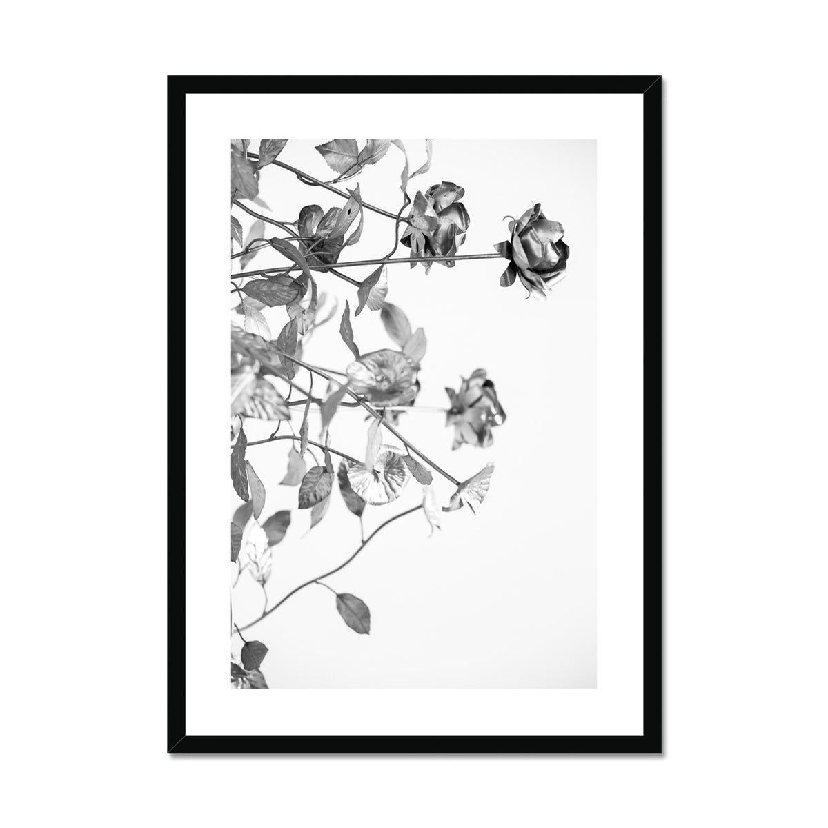 B&W 13 Framed & Mounted Print