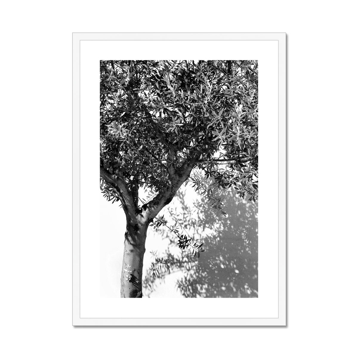 B&W 10 Framed & Mounted Print