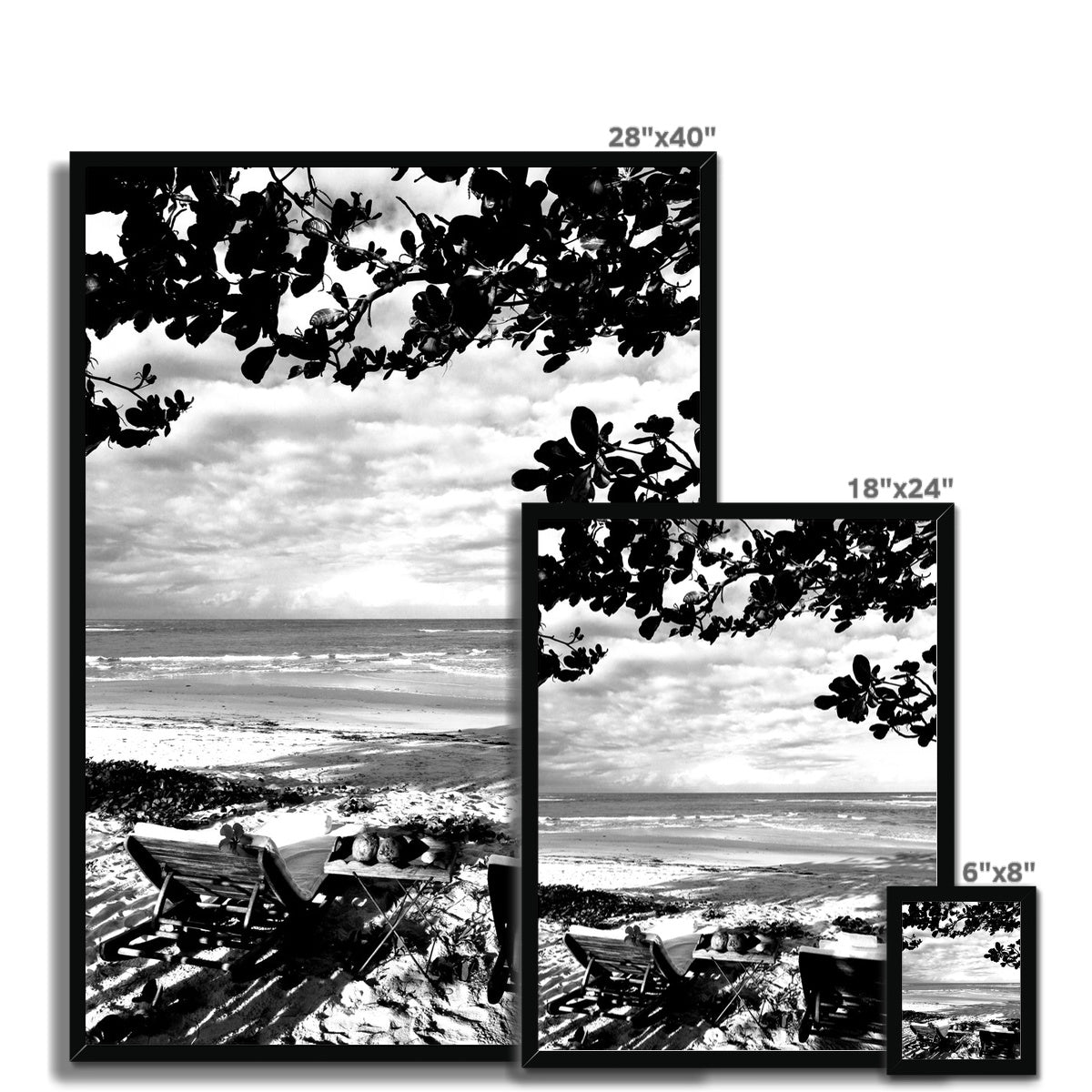 NATURE 05 Framed Print