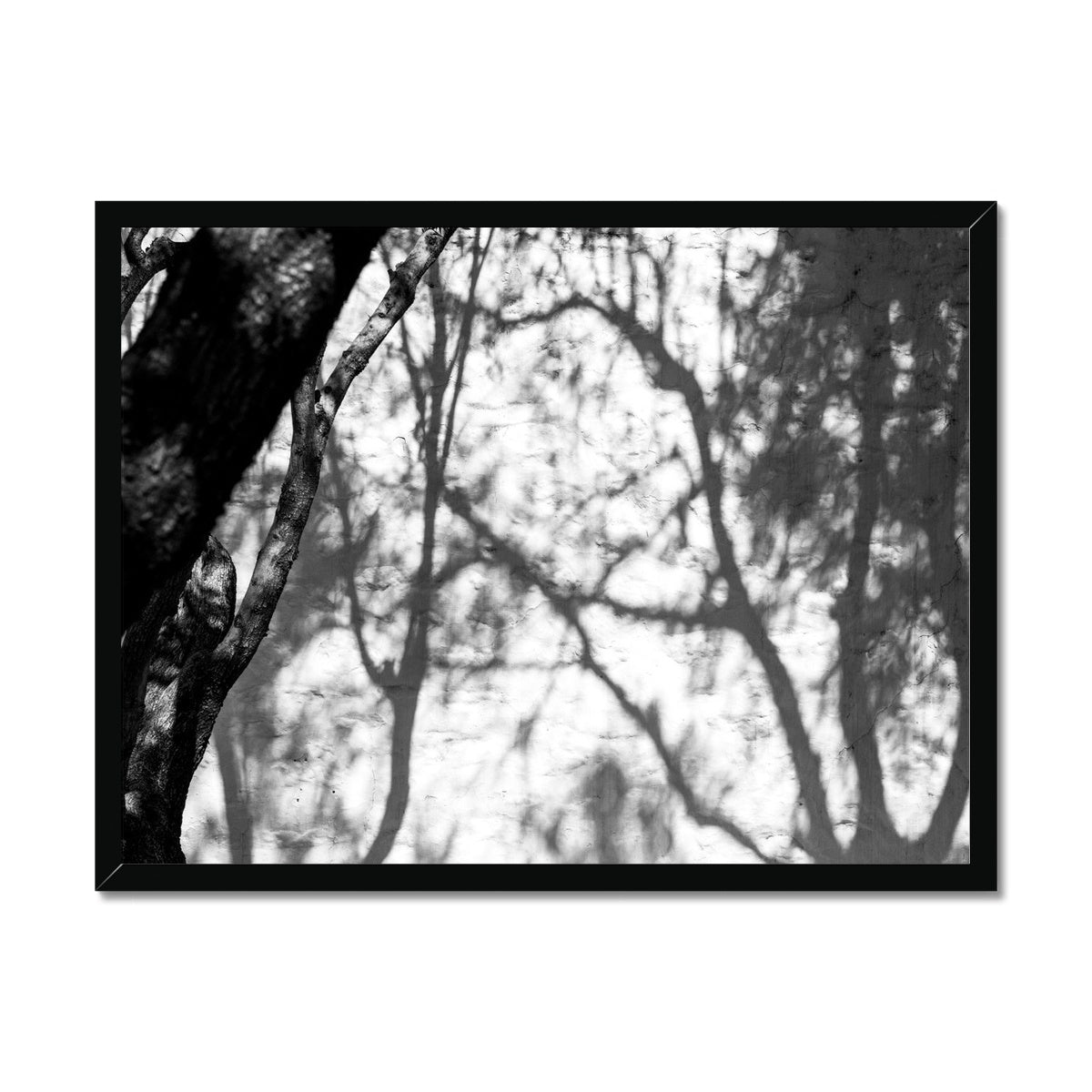 B&W 02 Framed Print